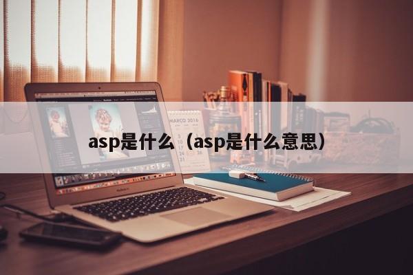 asp是什么（asp是什么意思）