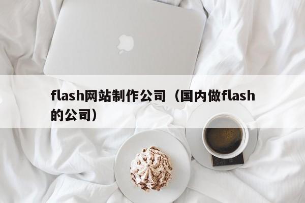 flash网站制作公司（国内做flash的公司）