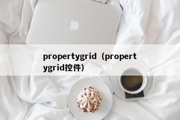 propertygrid（propertygrid控件）
