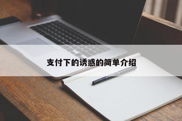 支付下的诱惑的简单介绍