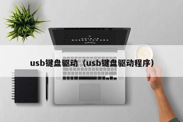 usb键盘驱动（usb键盘驱动程序）