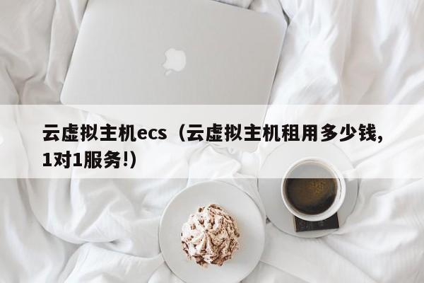 云虚拟主机ecs（云虚拟主机租用多少钱,1对1服务!）
